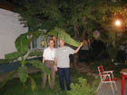 Я, папа и пальма в Ташкенте 